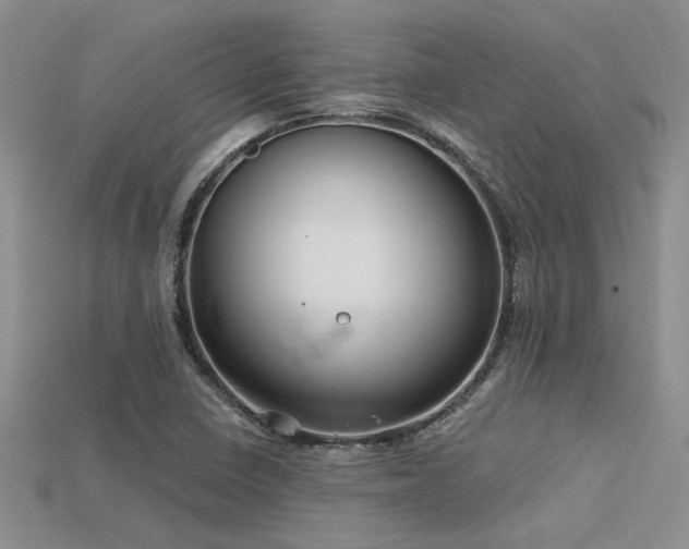 X0000115771410200911131207