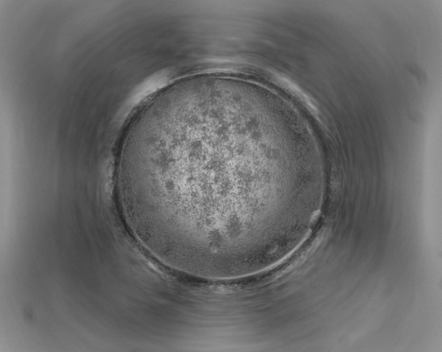 X0000115771411200911131207