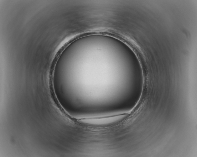 X0000115771412200911131207