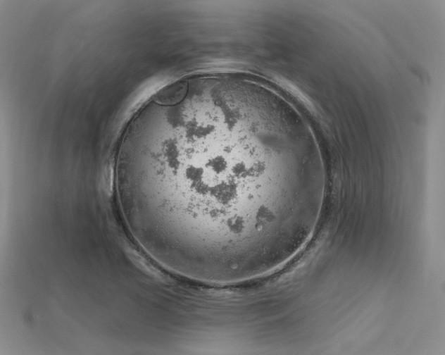 X0000115771413200911131207