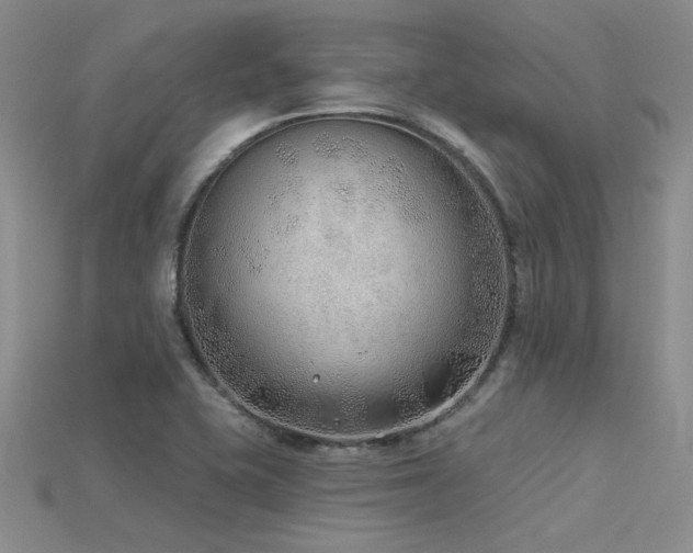 X0000115771415200911131207