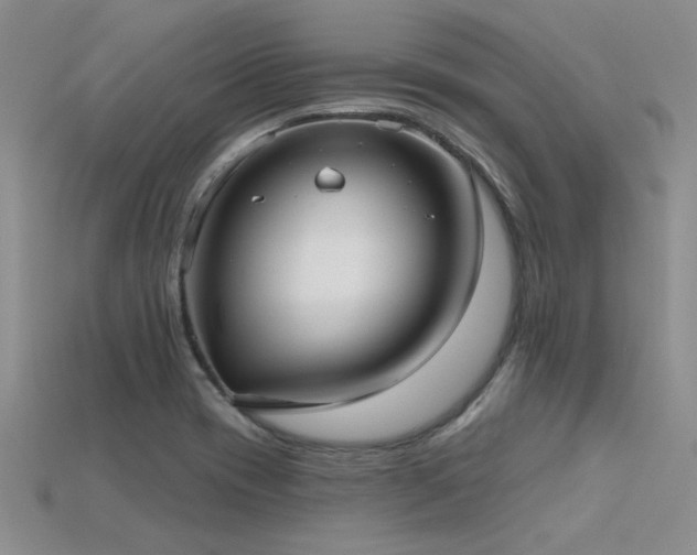 X0000115771417200911131207