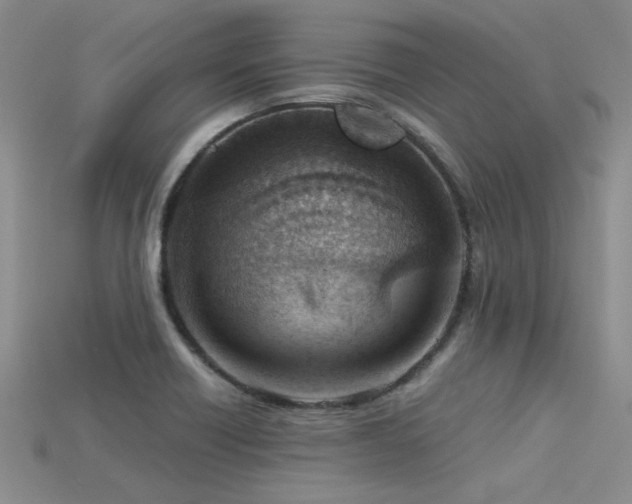 X0000115771418200911131207