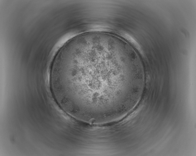X0000115771419200911131207