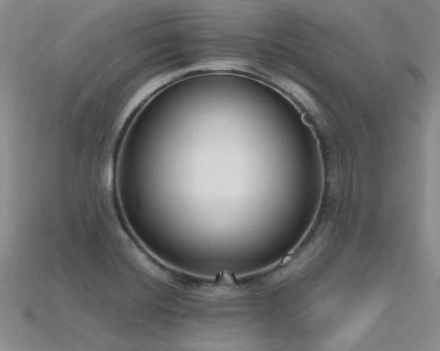 X0000115771420200911131207