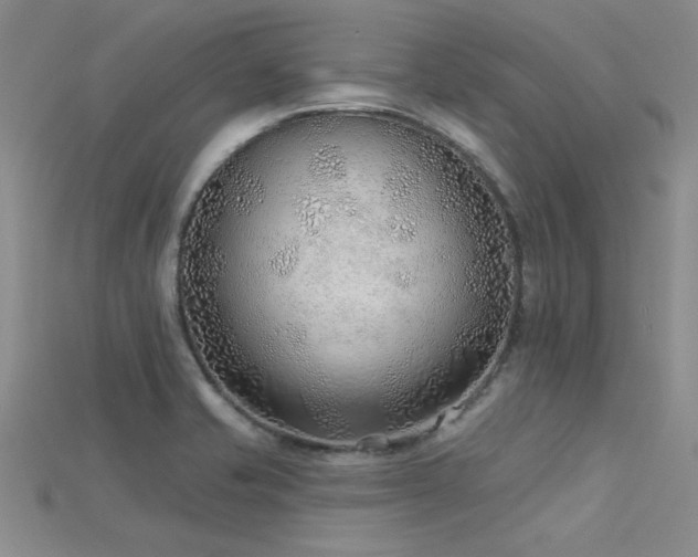 X0000115771421200911131207