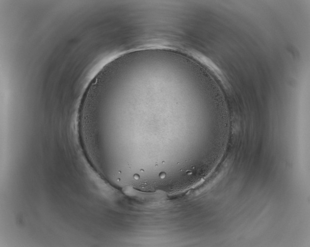 X0000115771423200911131207