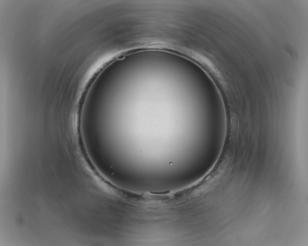 X0000115771424200911131208