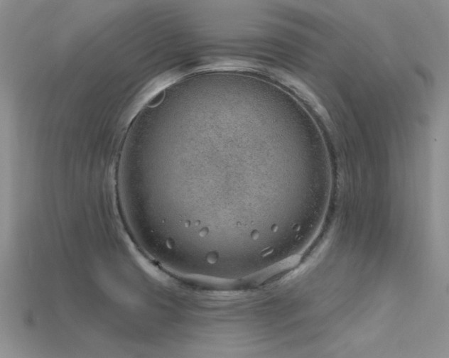X0000115771425200911131208
