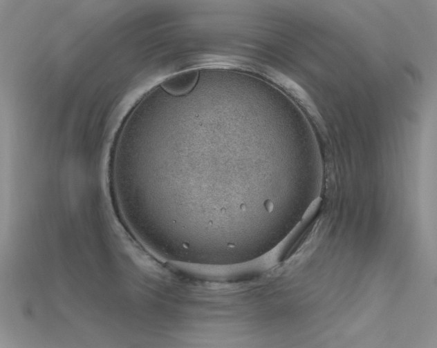 X0000115771427200911131208