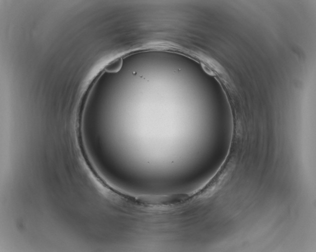 X0000115771430200911131208