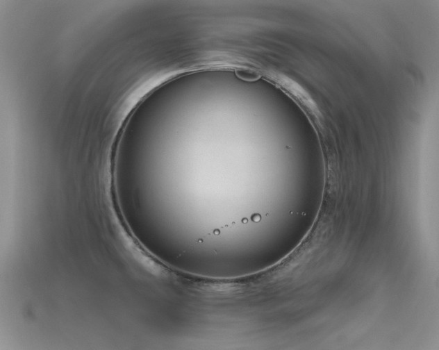 X0000115771431200911131208