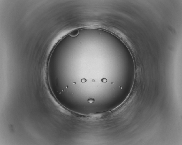 X0000115771432200911131208