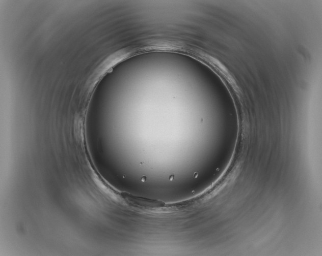 X0000115771433200911131208