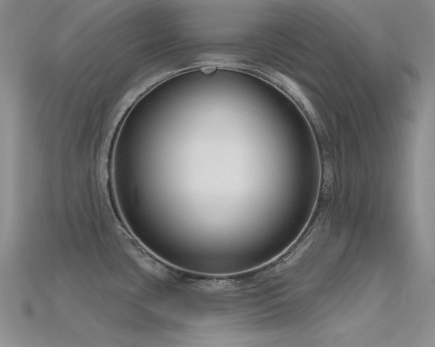 X0000115771435200911131208