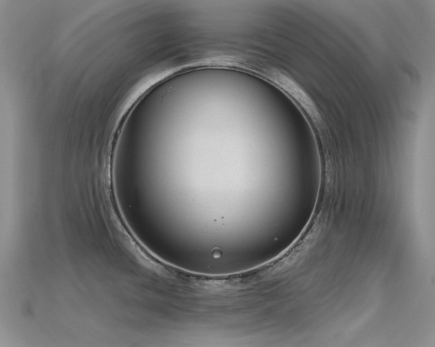 X0000115771436200911131208
