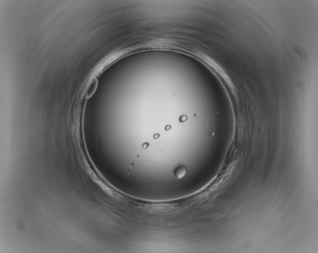 X0000115771437200911131208