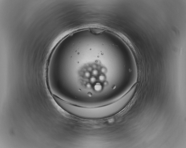 X0000115771438200911131208