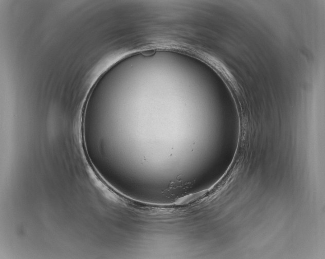 X0000115771439200911131208
