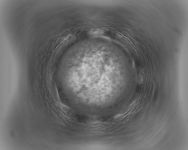 X0000115771441200911131207