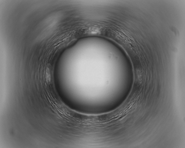 X0000115771442200911131207