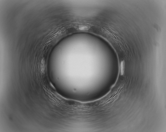 X0000115771443200911131207
