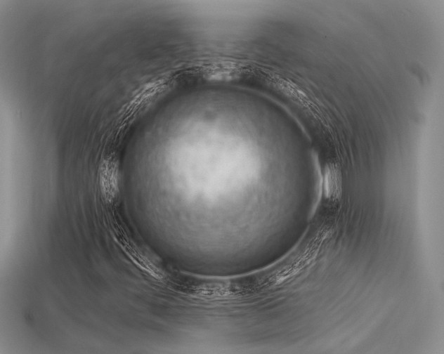 X0000115771444200911131207