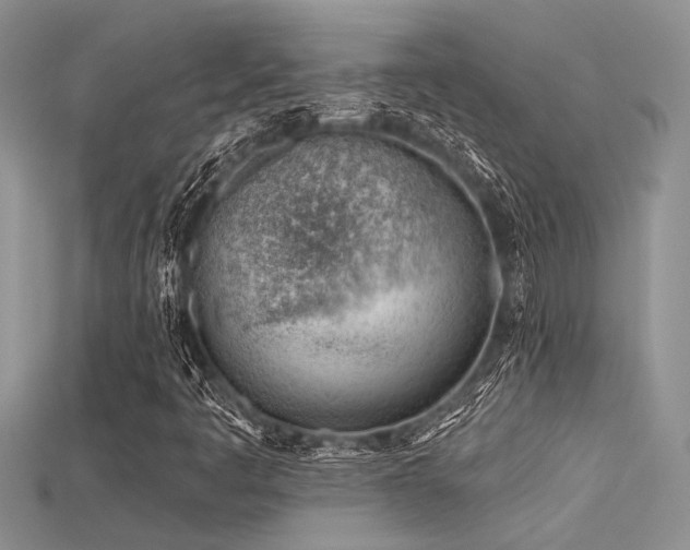 X0000115771445200911131207
