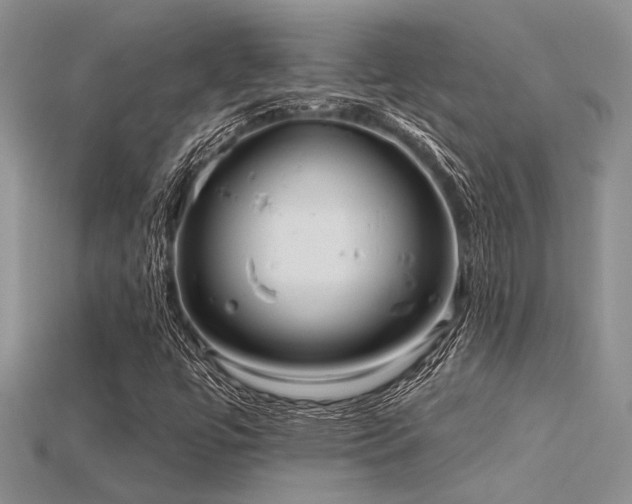 X0000115771447200911131207