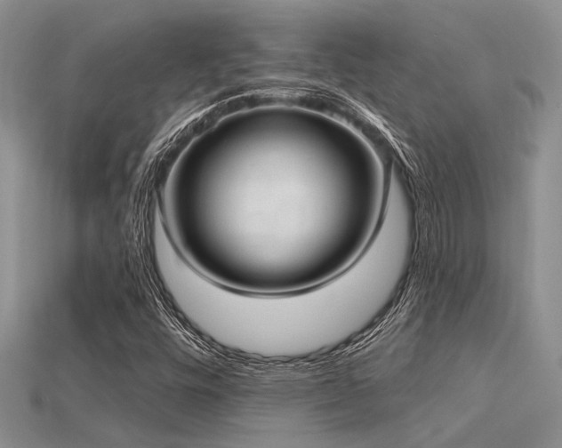X0000115771448200911131207