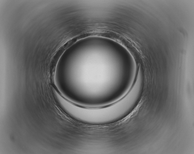 X0000115771449200911131207
