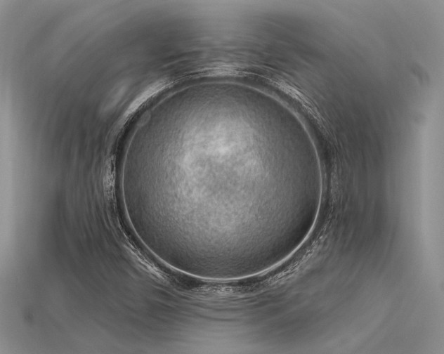 X0000115771450200911131207