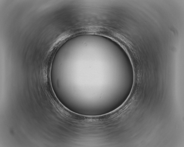 X0000115771451200911131207