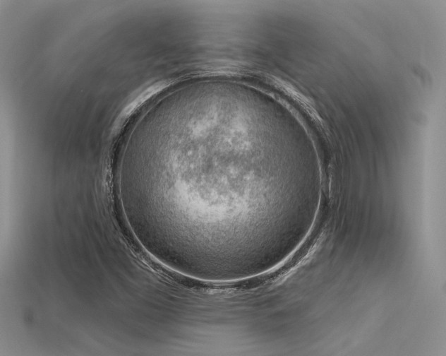 X0000115771453200911131207