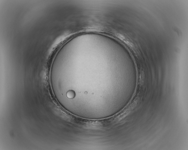 X0000115771454200911131207