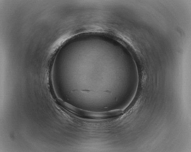 X0000115771455200911131207