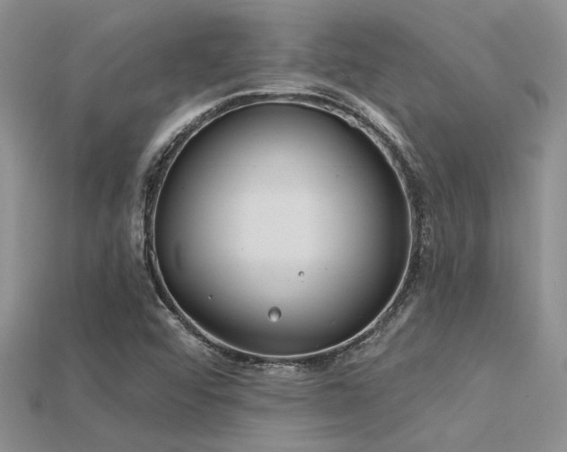 X0000115771456200911131207