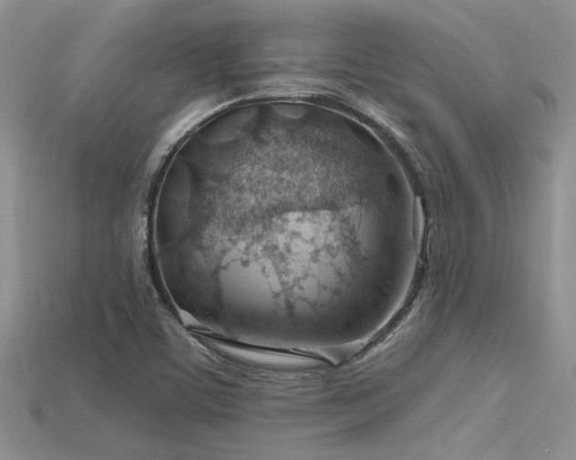 X0000115771459200911131207