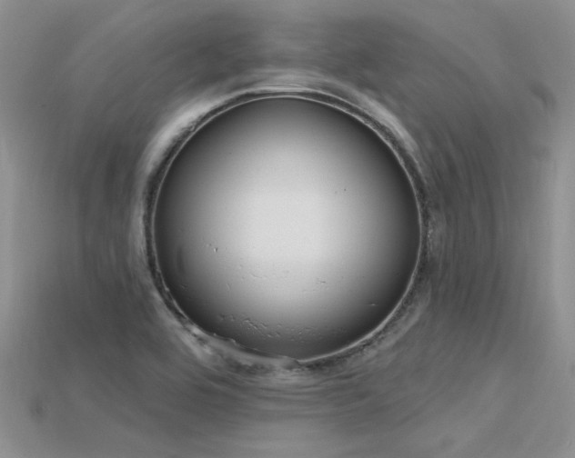 X0000115771464200911131207