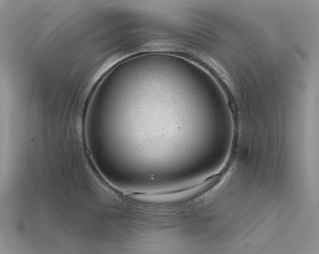 X0000115771465200911131207