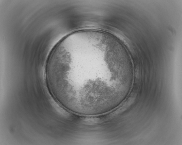 X0000115771466200911131207