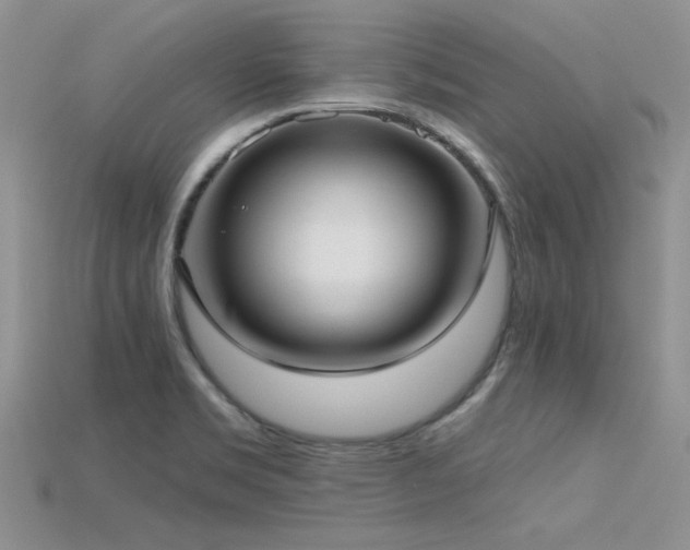 X0000115771469200911131207