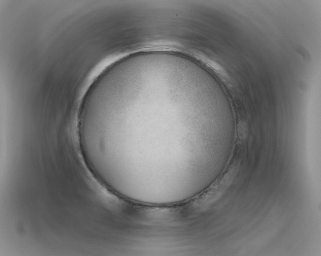 X0000115771470200911131207