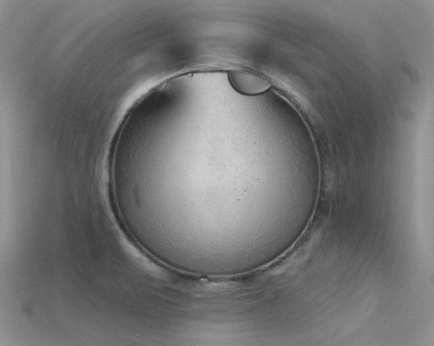 X0000115771471200911131207