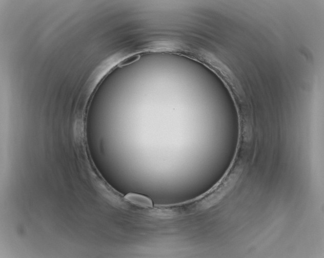 X0000115771473200911131207