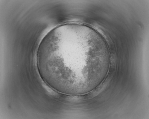 X0000115771474200911131207