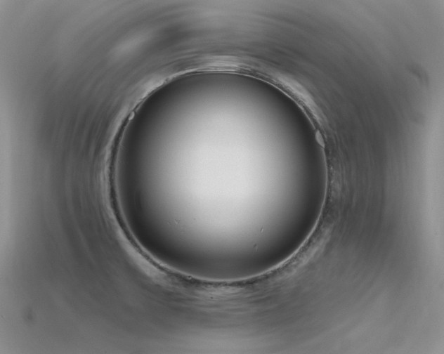 X0000115771475200911131207
