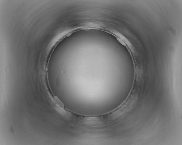 X0000115771477200911131207