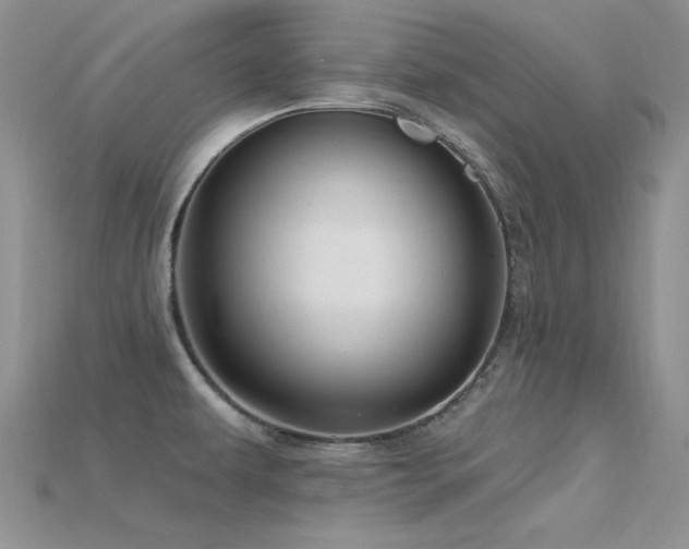 X0000115771479200911131206