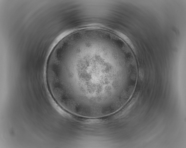 X0000115771482200911131206